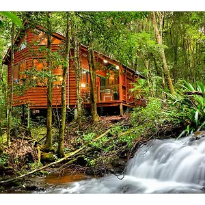  Lodge The Mouses House Rainforest Retreat Australia